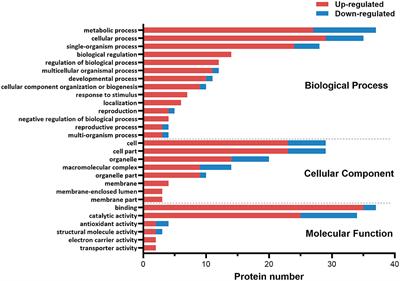 Integrative Proteomic and MicroRNA Analysis: Insights Into Mechanisms of Eyestalk Ablation-Induced Ovarian Maturation in the Swimming Crab Portunus trituberculatus